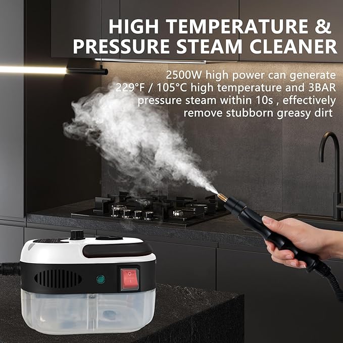 Handheld High-Temperature Pressurised Steam Cleaner