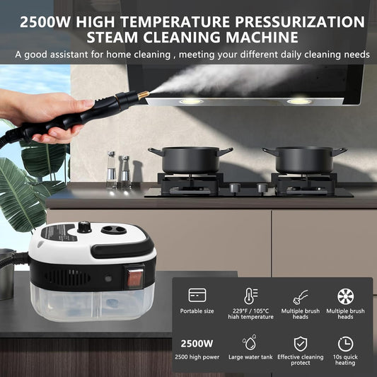 Handheld High-Temperature Pressurised Steam Cleaner